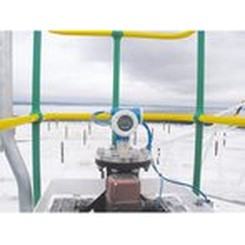 Level Endress+Hauser